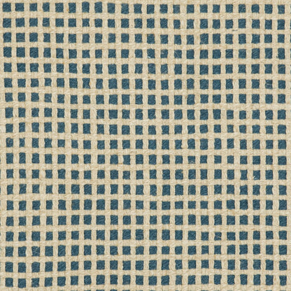 31020-04 Plaid & Check,Small Scale nan Blue Charlotte Select