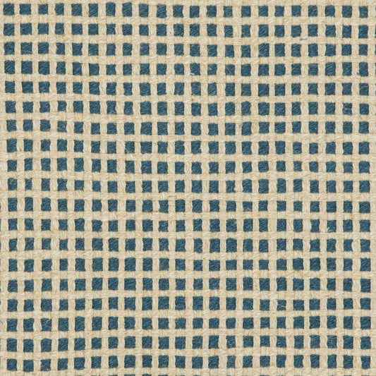 31020-04 Plaid & Check,Small Scale nan Blue Charlotte Select