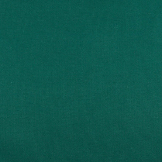 3111 Plain & Solid Rainforest Green Charlotte Fabrics