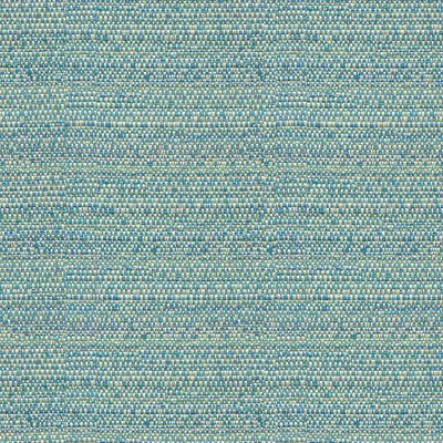 31695-113 KRAVET COUTURE 31695-113 KRAVET COUTURE UPHOLSTERY