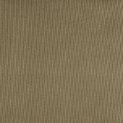 3180 Plain & Solid Sage Green Charlotte Fabrics