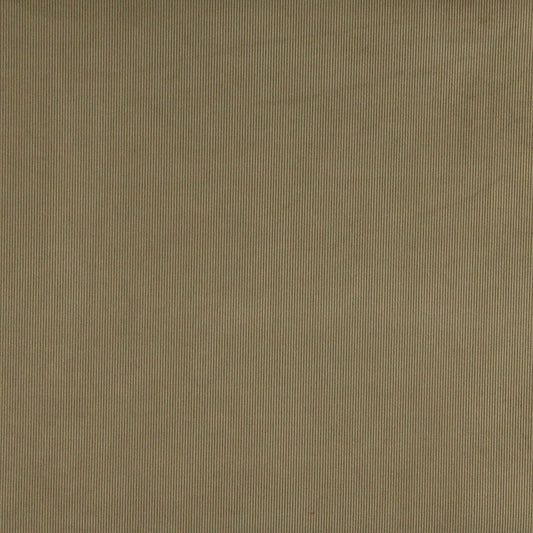 3180 Plain & Solid Sage Green Charlotte Fabrics