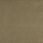 3180 Plain & Solid Sage Green Charlotte Fabrics