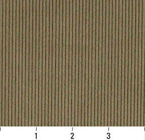 3180 Plain & Solid Sage Green Charlotte Fabrics