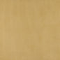 3185 Plain & Solid Flax Gold & Yellow Charlotte Fabrics