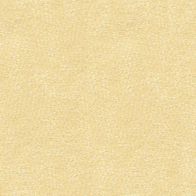 31871-16 BACI PEARL KRAVET BASICS UPHOLSTERY