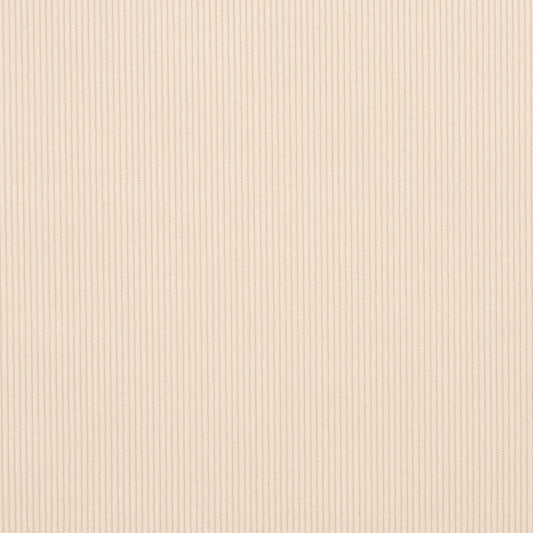 3188 Plain & Solid Ivory White & Ivory Charlotte Fabrics