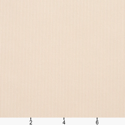 3188 Plain & Solid Ivory White & Ivory Charlotte Fabrics