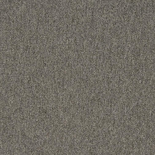 3200 Plain & Solid Graphite Grey & Silver Charlotte Fabrics