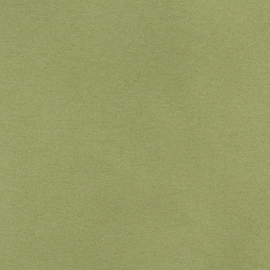 3204 Plain & Solid Spring Green Charlotte Fabrics