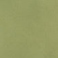 3204 Plain & Solid Spring Green Charlotte Fabrics