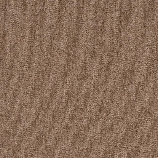 3205 Plain & Solid Cafe Brown Charlotte Fabrics