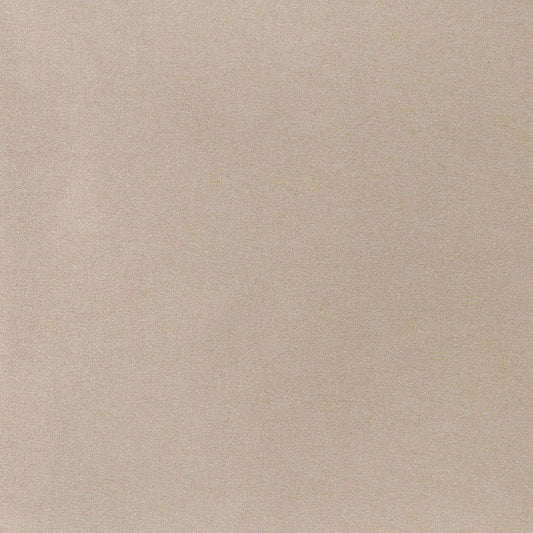 3207 Plain & Solid Sand Beige & Taupe Charlotte Fabrics