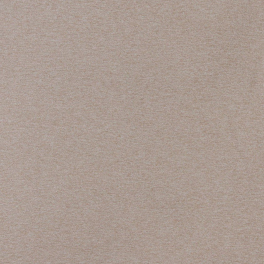 3211 Plain & Solid Dune Beige & Taupe Charlotte Fabrics