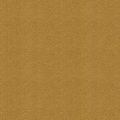 32267-40 IZZIE GOLD RUSH KRAVET CONTRACT UPHOLSTERY