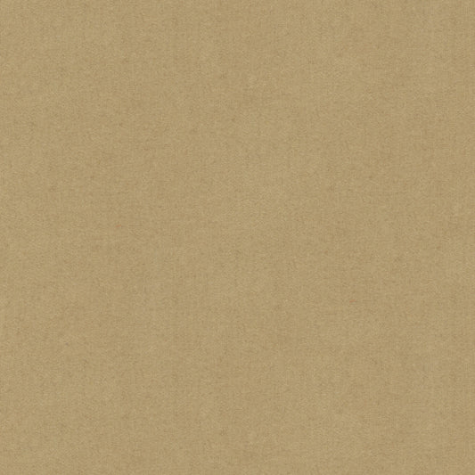 8013149-116 BRUNSCHWIG & FILS CHEVALIER WOOL PUTTY
