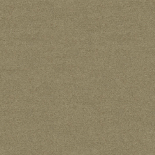 8013149-11 BRUNSCHWIG & FILS CHEVALIER WOOL GREIGE