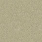 8013149-1611 BRUNSCHWIG & FILS CHEVALIER WOOL ASH