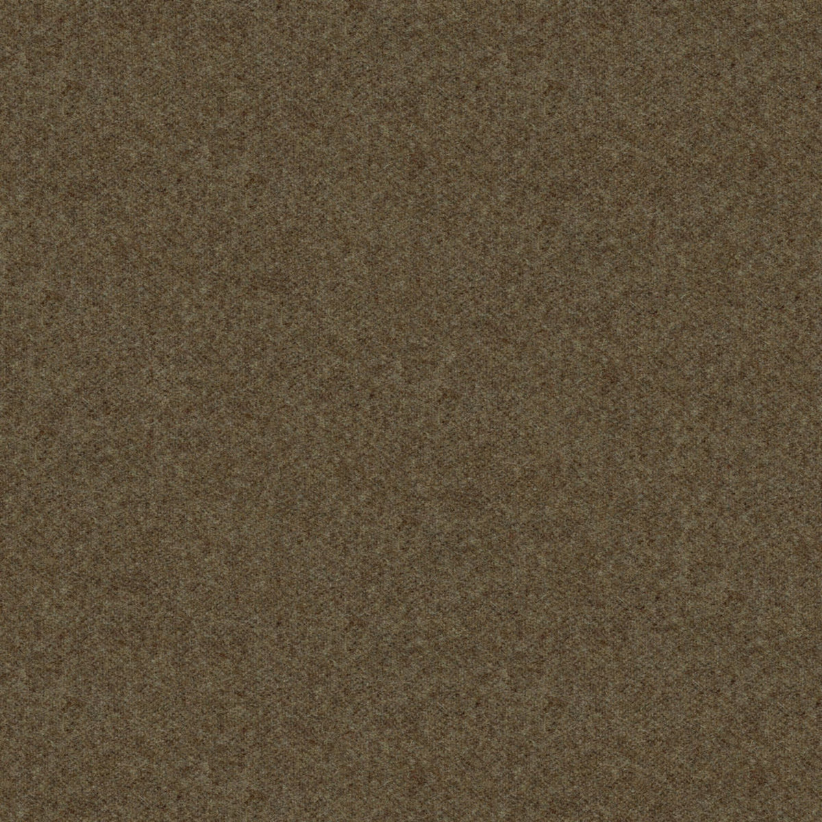 8013149-6611 BRUNSCHWIG & FILS CHEVALIER WOOL MOLE
