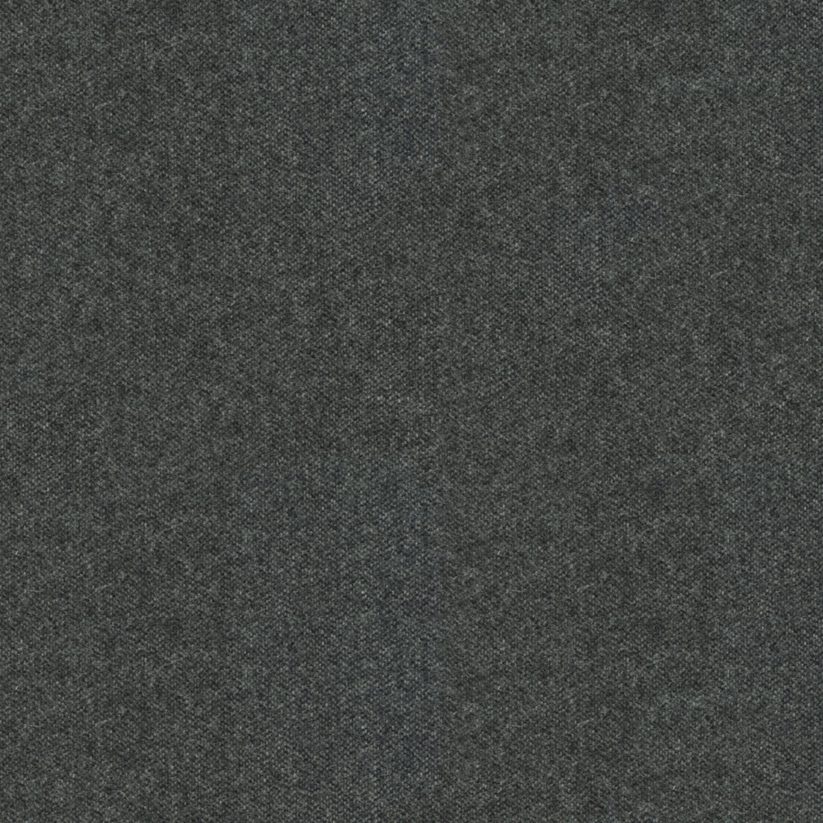 8013149-81 BRUNSCHWIG & FILS CHEVALIER WOOL IRON