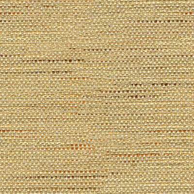 33135-1611 KRAVET BASICS 33135-1611 KRAVET BASICS Fabrics Drapery Upholstery