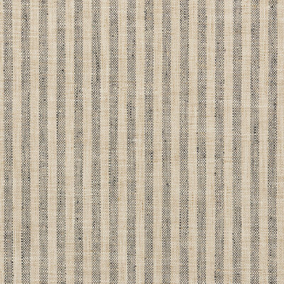 34080-1621 KRAVET BASICS 34080-1621 KRAVET BASICS Fabrics Drapery Upholstery