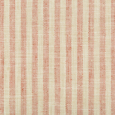 34080-17 KRAVET BASICS 34080-17 KRAVET BASICS Fabrics Drapery Upholstery