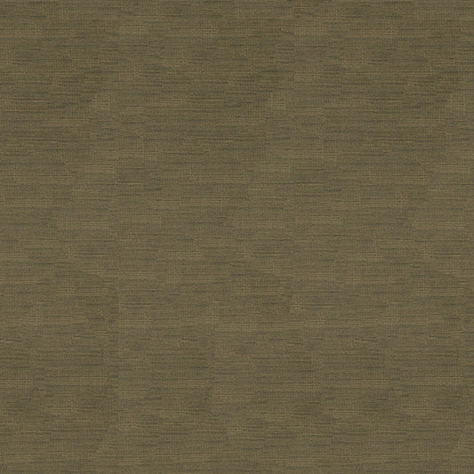 8016103-106 BRUNSCHWIG & FILS LAZARE VELVET DRIFTWOOD