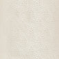 34412-116 KRAVET BASICS 34412-116 KRAVET BASICS Fabrics Drapery Upholstery