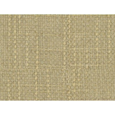 34476-4 CONCEPTUAL CHARDONNAY KRAVET COUTURE UPHOLSTERY