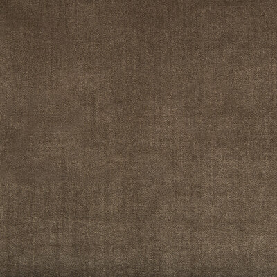 34641-6 DUCHESS VELVET MINK KRAVET COUTURE UPHOLSTERY