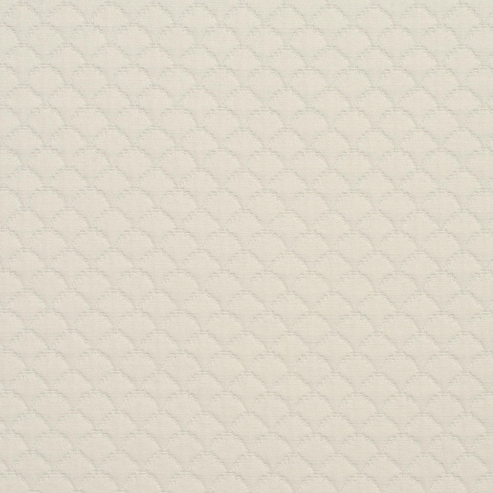 3464 Small Scale Shell White & Ivory Charlotte Fabrics