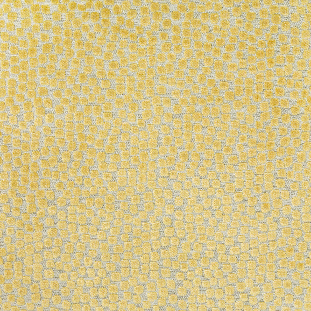 34849-40 FLURRIES CITRINE KRAVET DESIGN Fabric