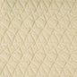 34922-116 TAKING SHAPE CHAMPAGNE KRAVET COUTURE UPHOLSTERY