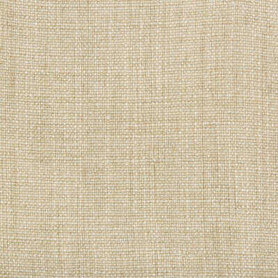 35189-1016 KRAVET BASICS 35189-1016 KRAVET BASICS Fabrics Drapery Upholstery