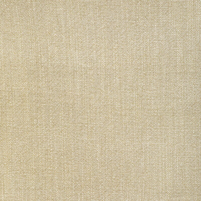 35189-116 KRAVET BASICS 35189-116 KRAVET BASICS Fabrics Drapery Upholstery
