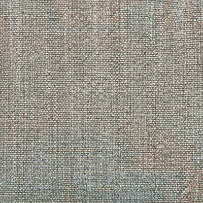 35189-2111 KRAVET BASICS 35189-2111 KRAVET BASICS Fabrics Drapery Upholstery