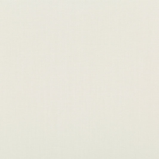 35543-1 OXFORDIAN IVORY KRAVET BASICS Fabric