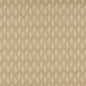 3554 Abstract & Geometric Wheat Beige & Taupe Charlotte Fabrics