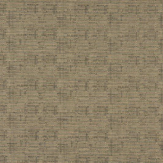 3562 Plain & Solid Rosemary Green Charlotte Fabrics