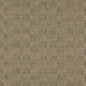 3562 Plain & Solid Rosemary Green Charlotte Fabrics
