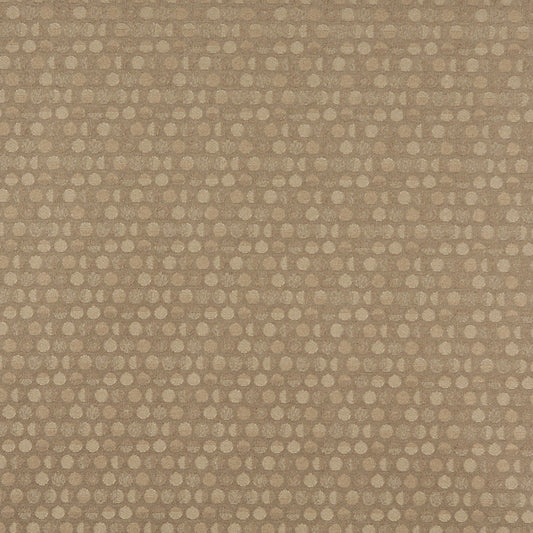 3576 Abstract & Geometric,Small Scale Buff Beige & Taupe Charlotte Fabrics