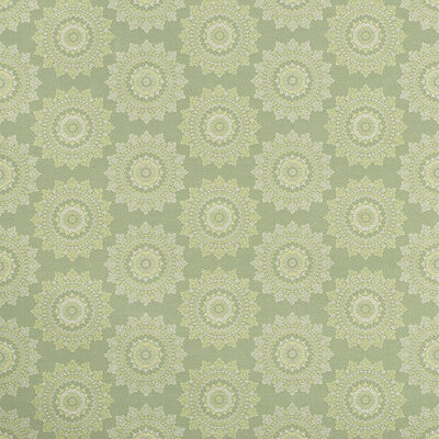 35865-30 PIATTO ENDIVE KRAVET CONTRACT UPHOLSTERY