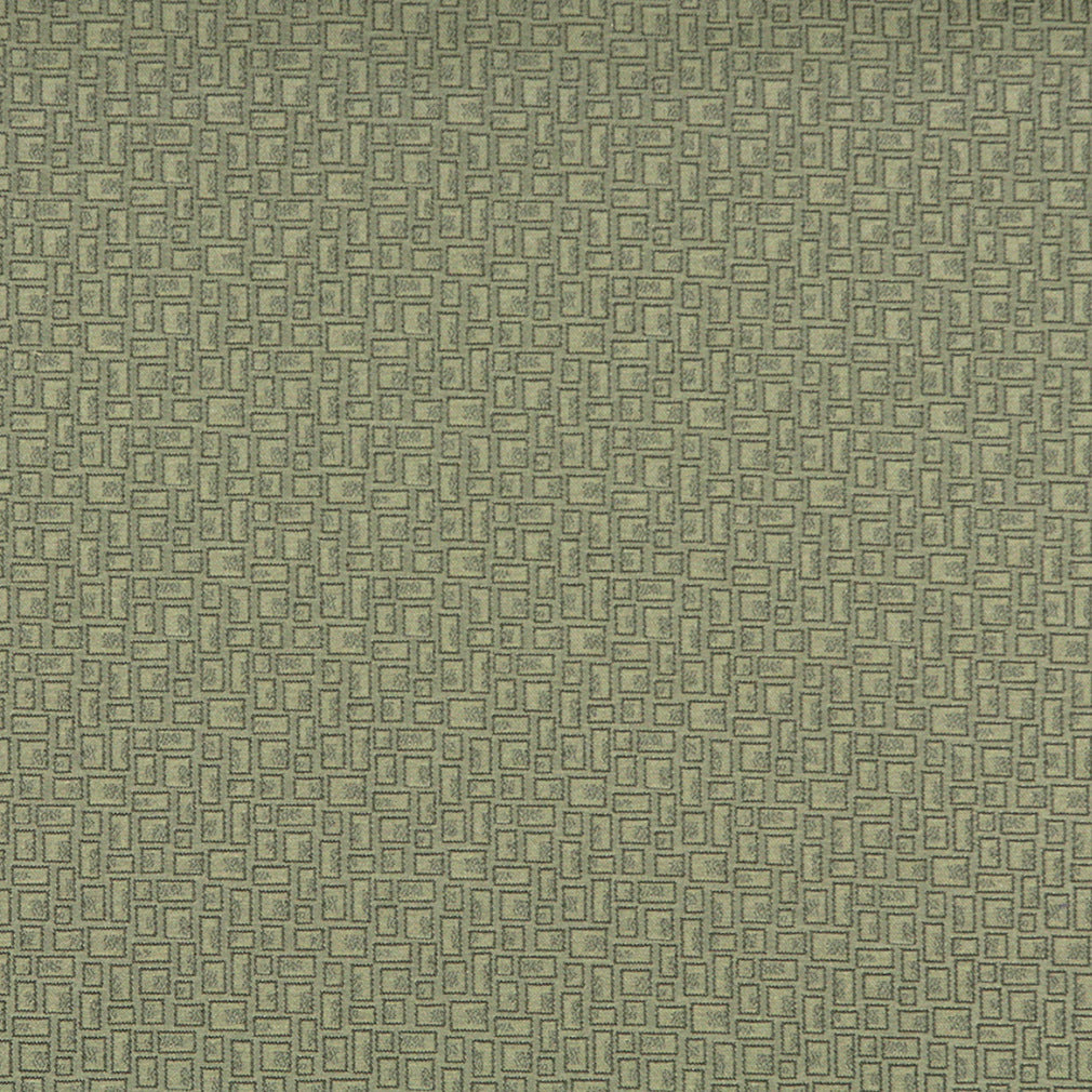 3591 Abstract & Geometric,Small Scale Fern Green Charlotte Fabrics