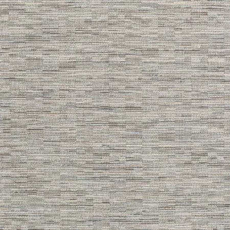 36050-115 NONI TEXTURE Platinum Kravet Fabric