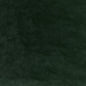 36064-30 REGAL VELVET SAGE KRAVET COUTURE UPHOLSTERY