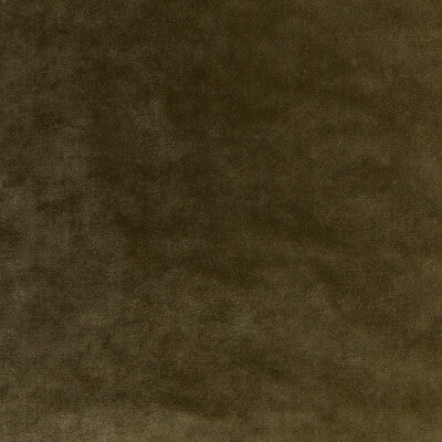 36064-303 REGAL VELVET OLIVE KRAVET COUTURE UPHOLSTERY