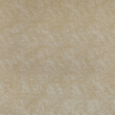 36065-116 TRIUMPHANT CREME KRAVET COUTURE UPHOLSTERY