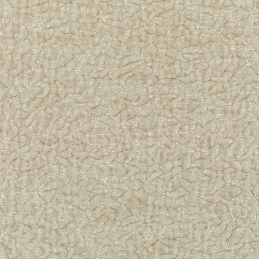 36596-1 KRAVET COUTURE KRAVET COUTURE 36596-1