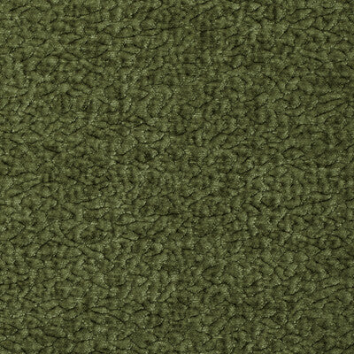 36074-3 BARTON CHENILLE CACTUS KRAVET SMART UPHOLSTERY